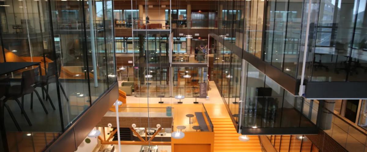 Anlegget er preget av mye naturlig lys og med mange luftige arealer. Foto: Liva Rindom Tofte Universitetsavisa Helgasetr innside 1