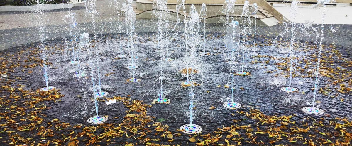 Fontene med mye løv i vannet.