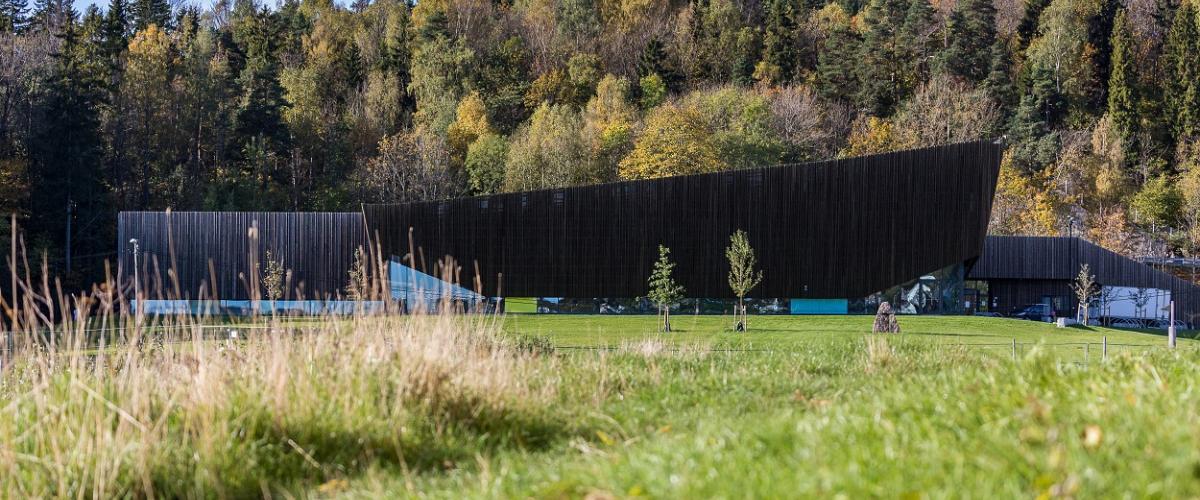 Profilbilde av bygget, med treverket som glir inn med omgivelsene rundt.