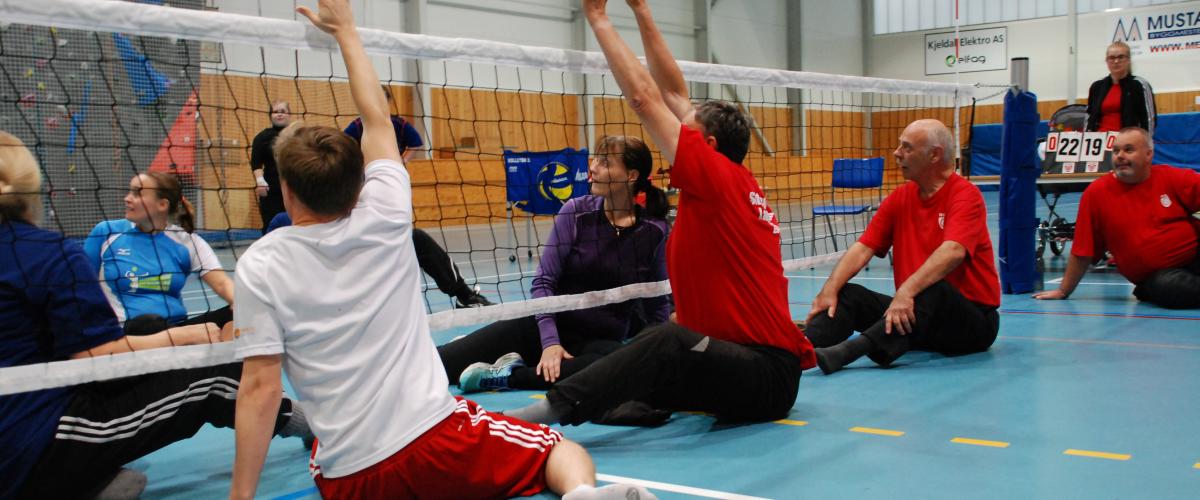 Sittevolleyball