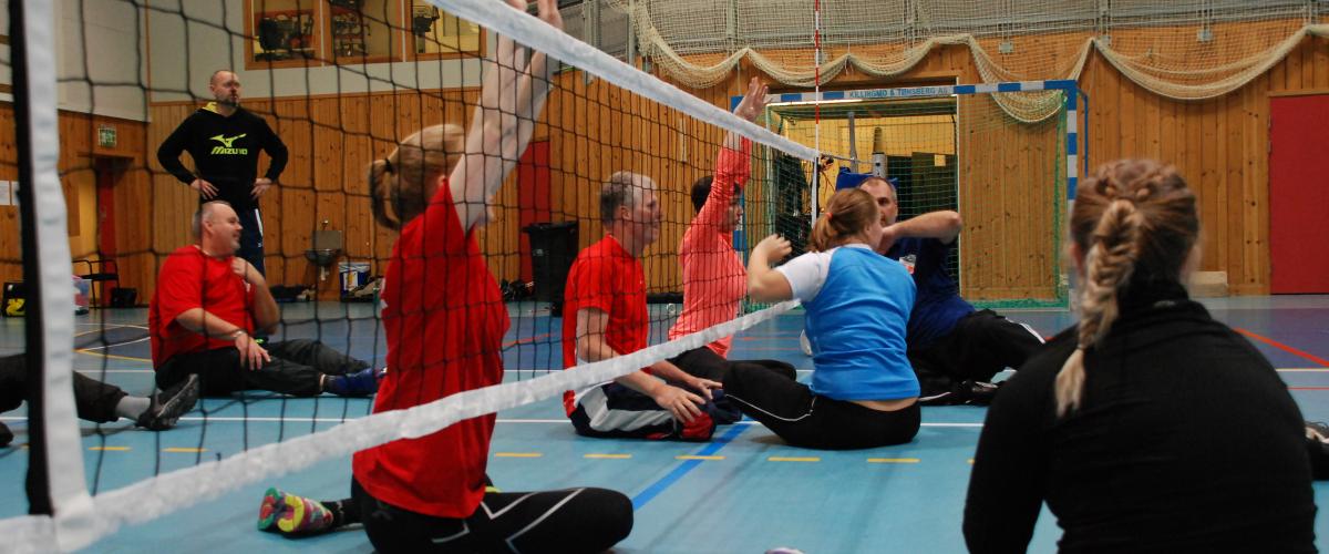 Sittevolleyballspillere