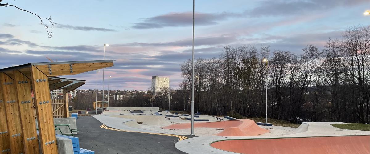 Skatepark i betong med leskur 