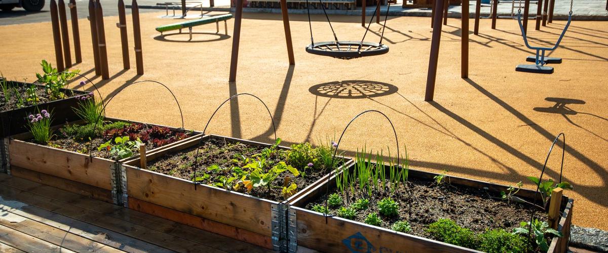 Plantekasser med forskjellige vekster er plassert på området. Foto: Boasson AS. Bildet viser grønne planter plantet i plantekasser fo rå skape gode miljøer og frodighet i parken.