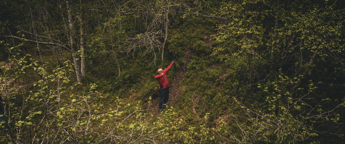 Bueskytter i skogen