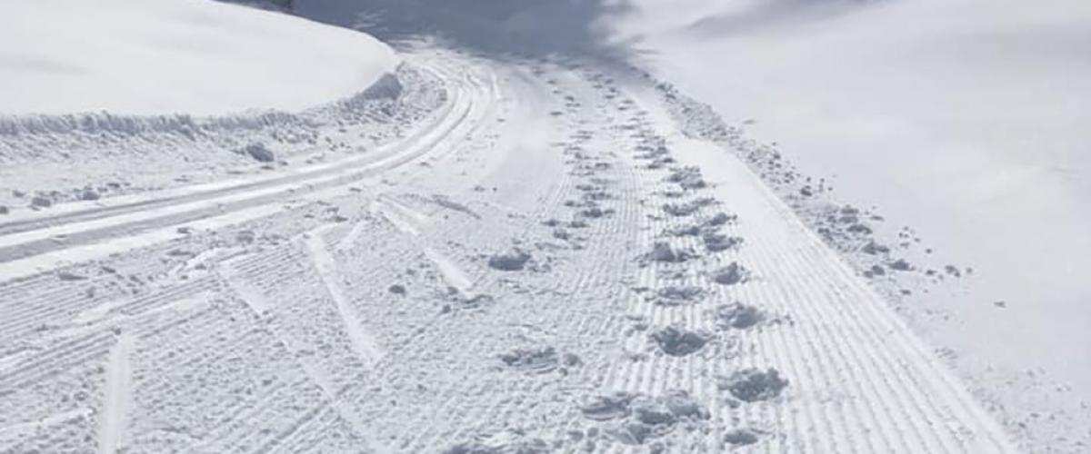Bilde av skiløyper der både skigåer og gående har ferdes