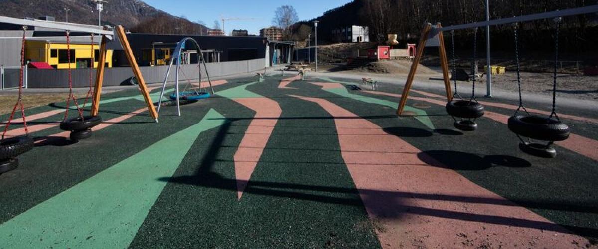 Aktivtetspark med ulike typer husker