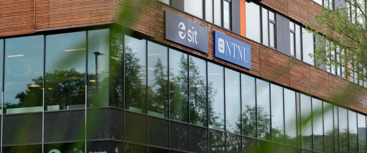 Store vinduer bringer mye naturlig lys inn i treningsarealene, samtidig som medlemmene får en vakker utsikt mot parken på andre siden av veien. Foto: Kristian Thorsen/Sit Sideprofil av fasade