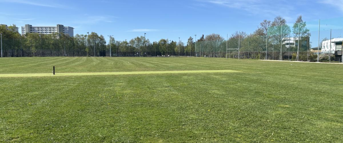 Bildet viser cricketbanen med blå himmel i bakgrunnen. 