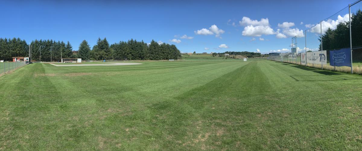 Gresslette på baseballbane i sol