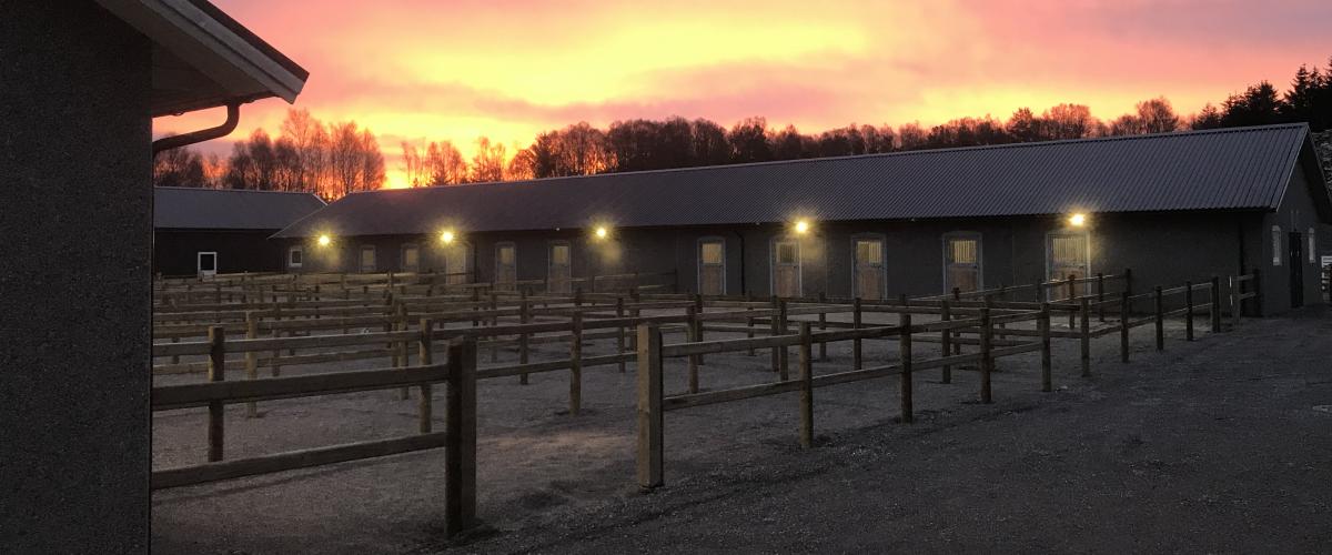 Haugaland Hestesport Arena uteområder