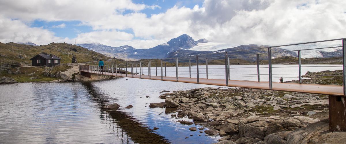 Brua over sundet er imponerende, men ikke prangende. Foto: L. A. Sulheim Bru i cortenstål over et sund