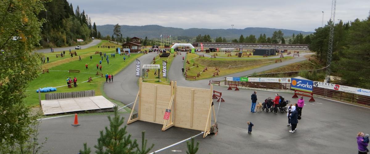 Skiløpere i rulleskiløypene som går rundt omrking på skistadion