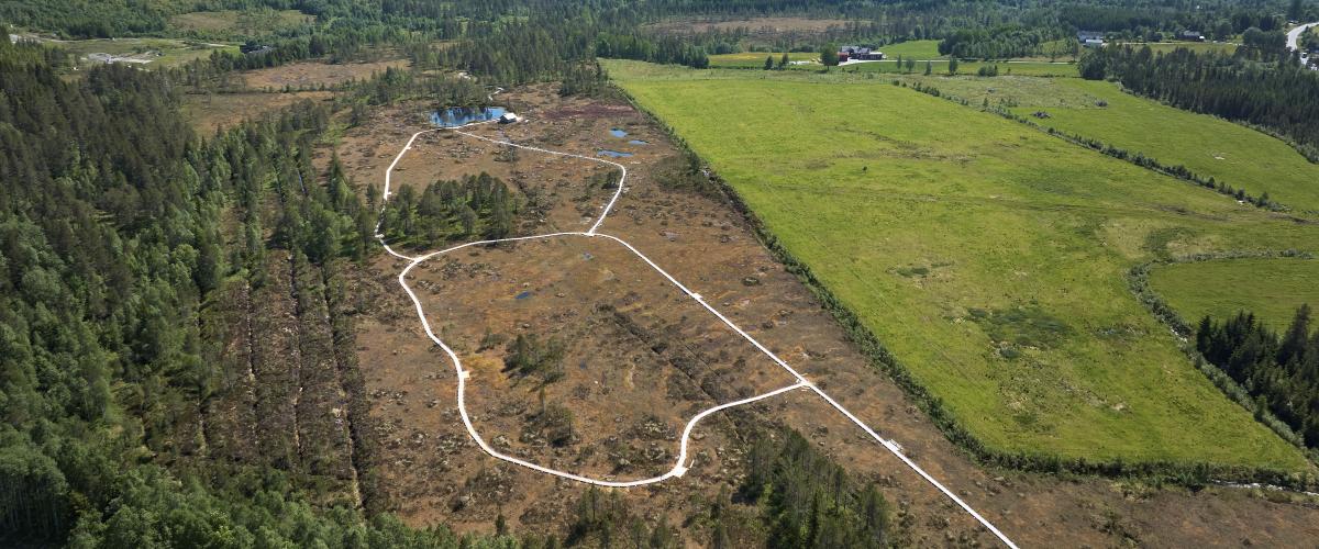 Luftfoto som viser oversikt over hele kavlveg-anlegget med stier gjennom myrlandskapet
