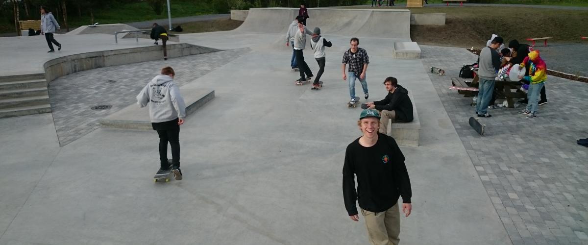 Anleggets flateområder