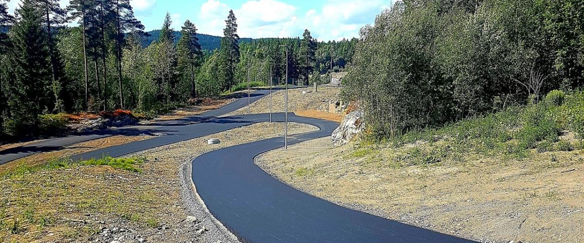 Asfaltert rulleskiløype med skog på hver sin side