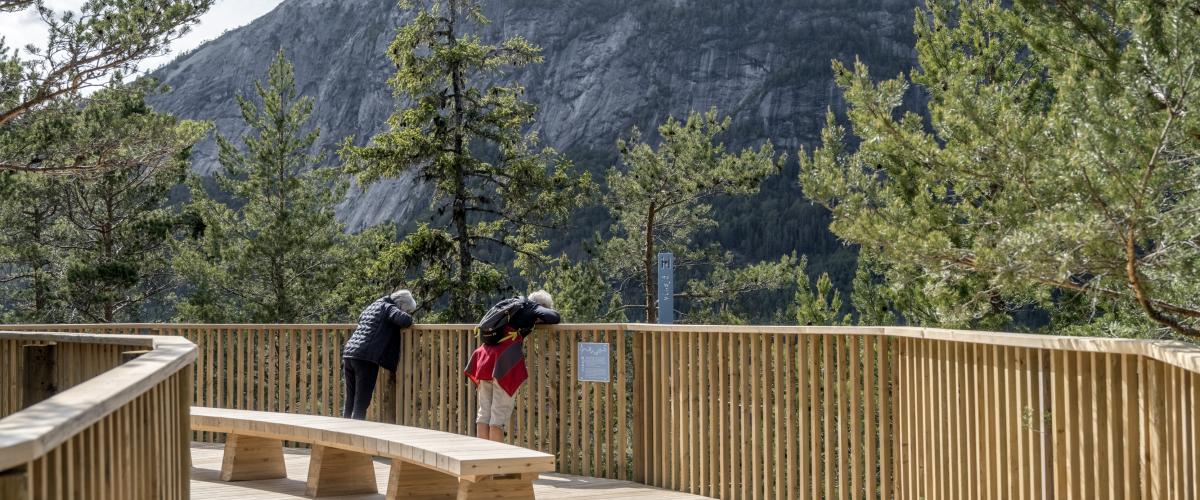 Benk i en sving på gangveg hevet over bakken