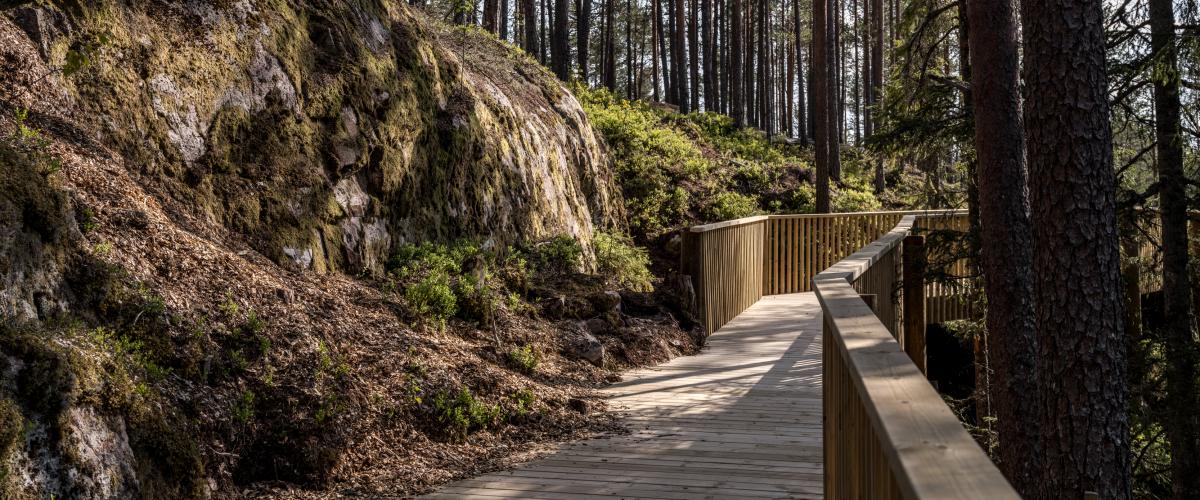 Plankene som utgjør turvegen er skåret slik at de følger berget