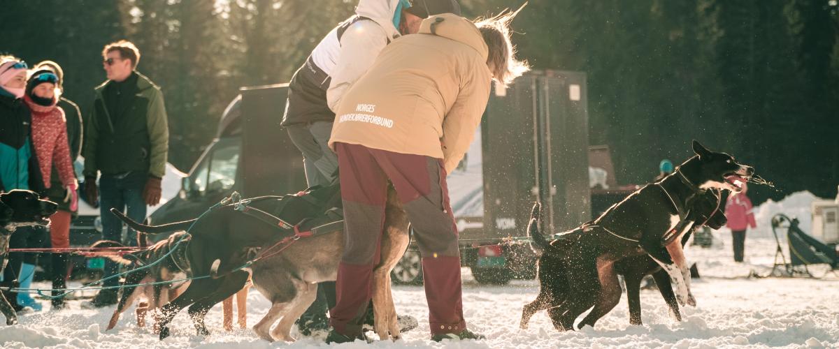 Foto: Yannic A. Schuster Bilde av ivrige hunder og eiere i solen før konkurranse på Gåsbu.