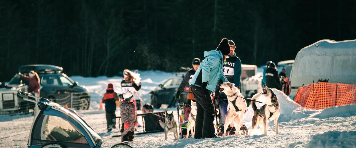 Anlegget er ment for alle med hund, både hundekjørere og mosjonister. Foto: Yannic A. Schuster Bilde av voksne, barn og hunder på parkeringsplassen til Hamar trekkhundklubb.