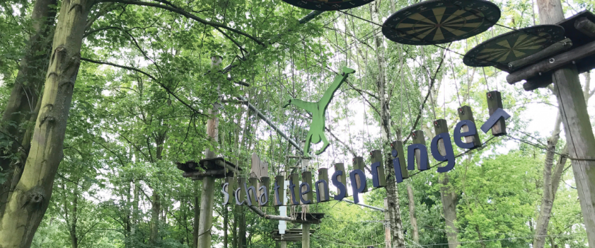 Klatrepark, skog med platåer og liner. 