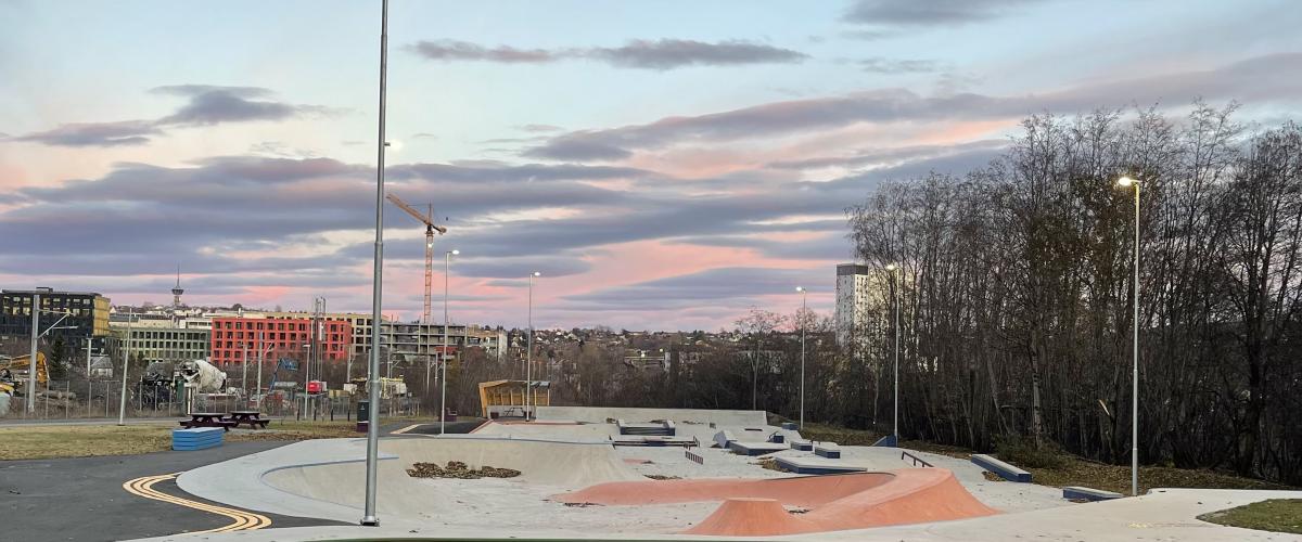 Bilde av bowl-, flow- og street elementer i regnbueparken i retning Lerkendal. 