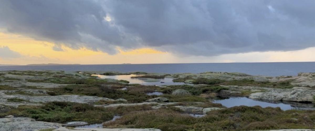 Bilde av strandsonen i Fredrikstad kommune