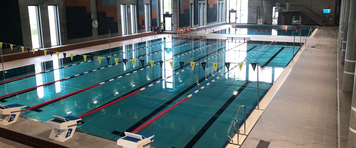 Svømmebasseng og et eget basseng til stuping med stupetårn.