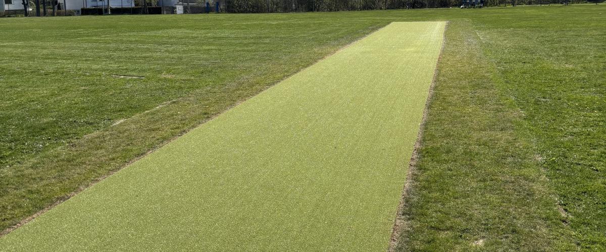 bildet viser cricketbanen med boligbebyggelse og trær i bakgrunnen. 