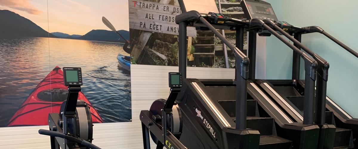 Romaskin og stepmaskin