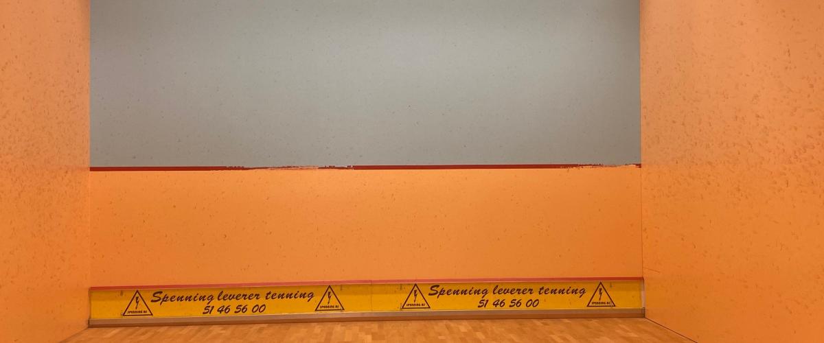 Anleggets squashbane