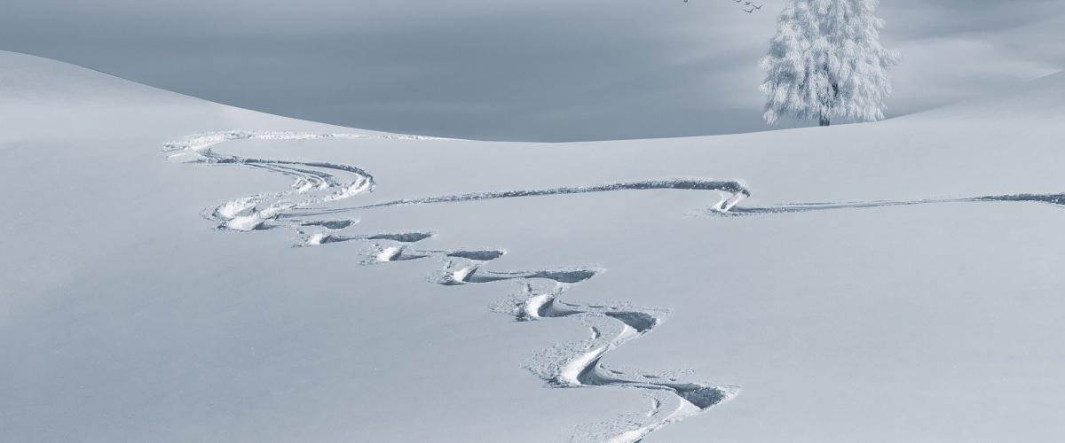 Snølandskap med spor