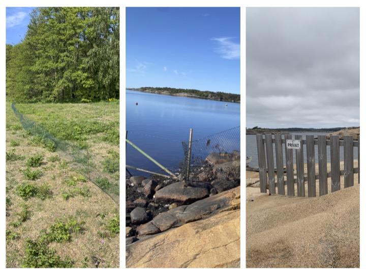 Bilde av gåsegjerde, gjerde ved vannet og et privat gjerde i strandsonen i Fredrikstad kommune. Foto: Fredrikstad kommune.