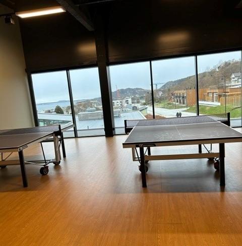 Bordtennisbord i stort åpent areale med vinduer.