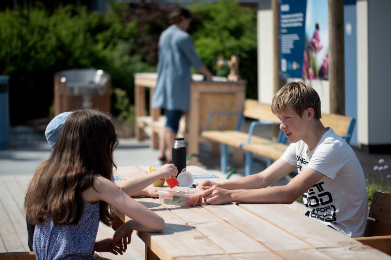 Barn som spiser ved piknikbord