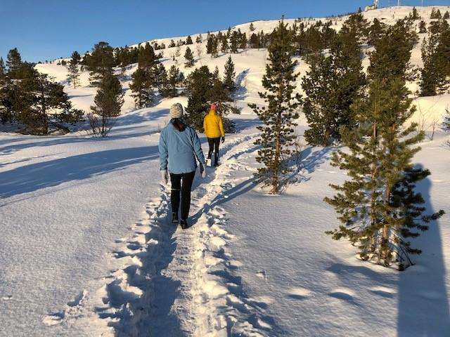 To personer gående på sti