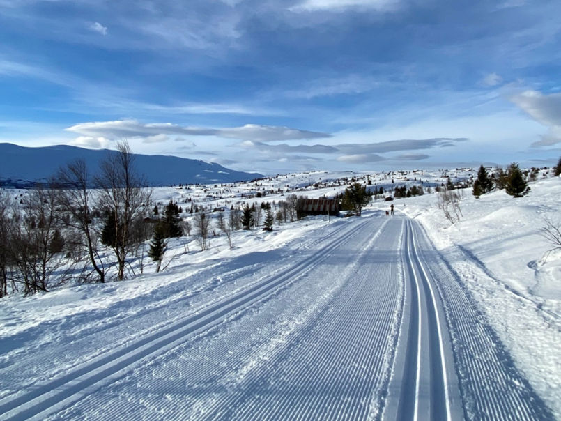 Snølagt langrennsløype i strålende sol og blå himmel