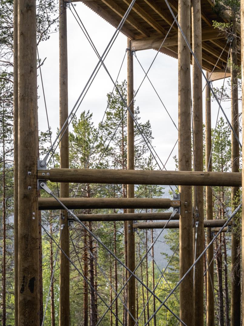 Mange pilarer bærer ein gangveg i tre