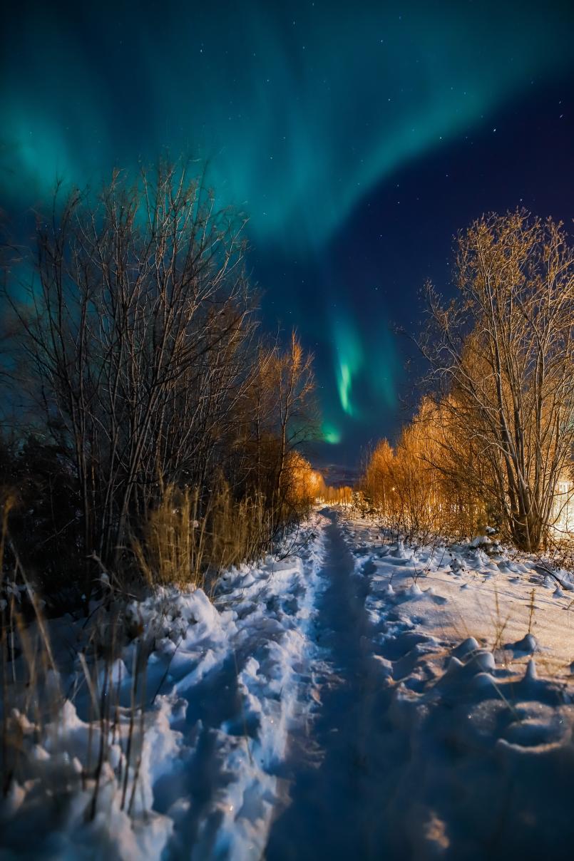 Sti i snøen med Nordlys